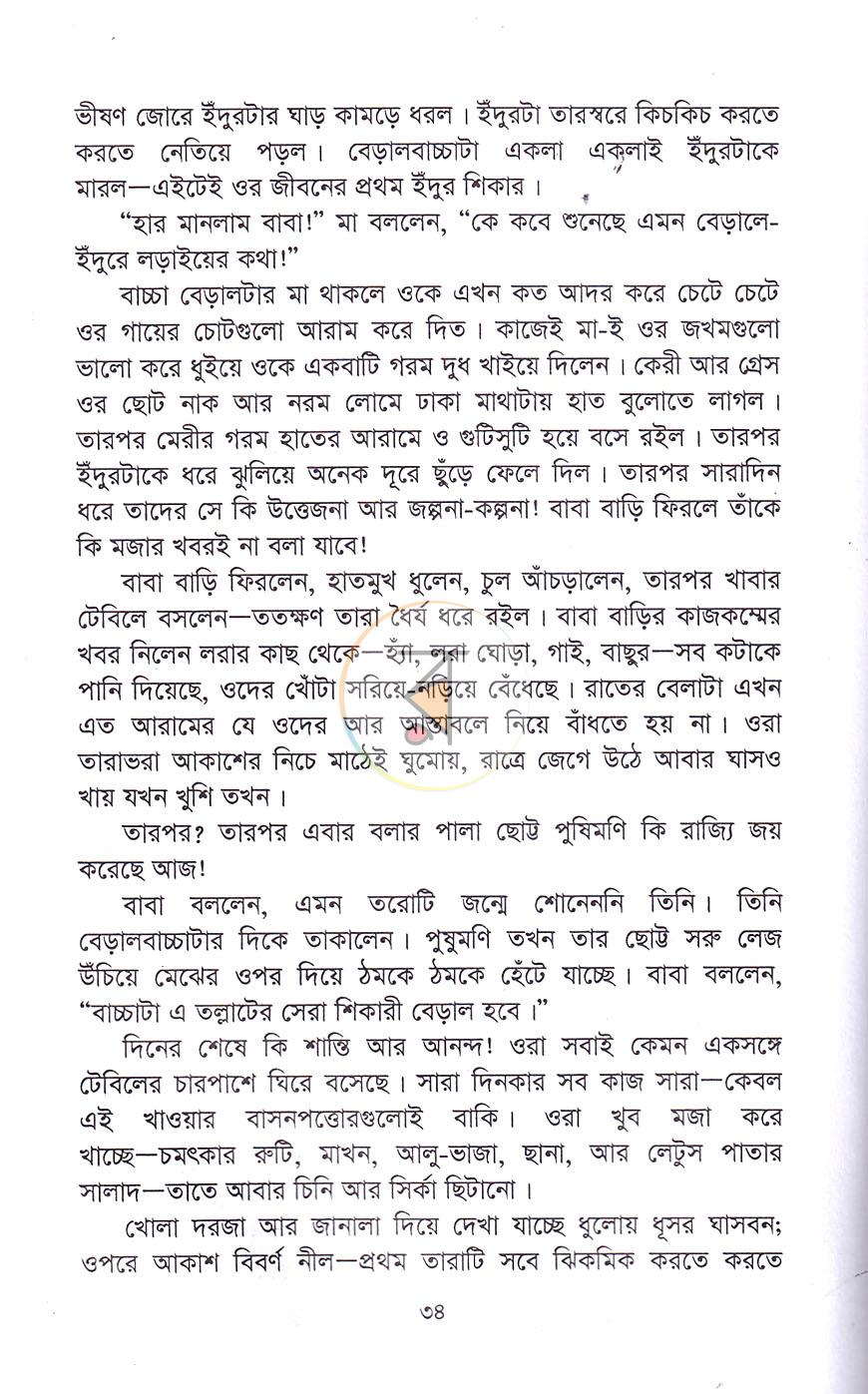 পাতা 20