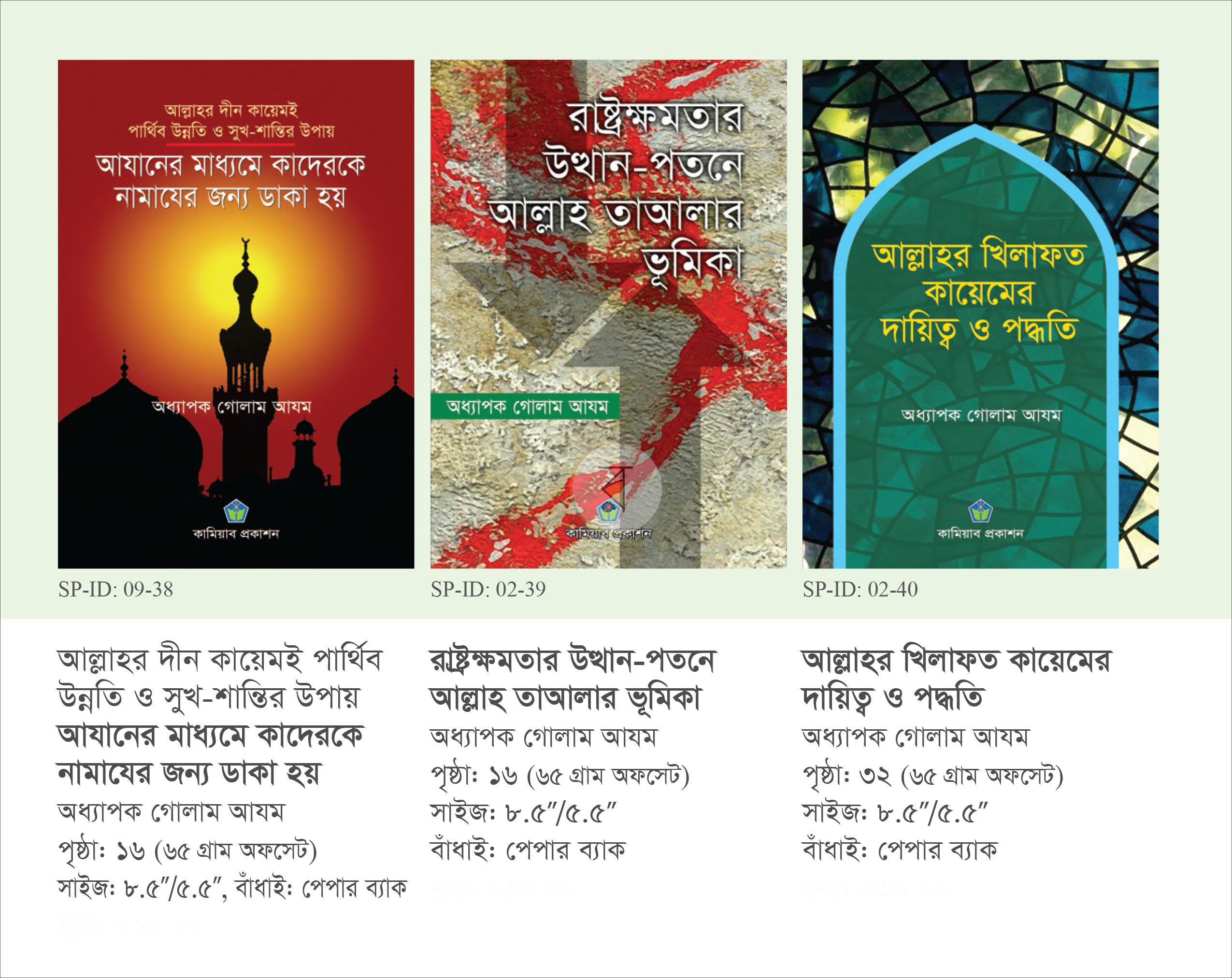 পাতা 8