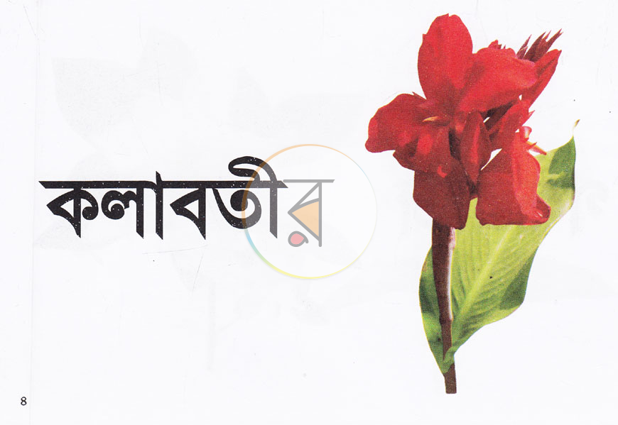 পাতা 2