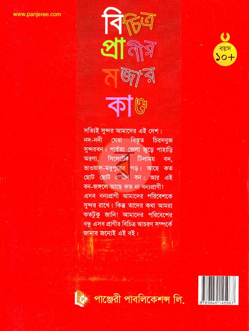 পাতা 11