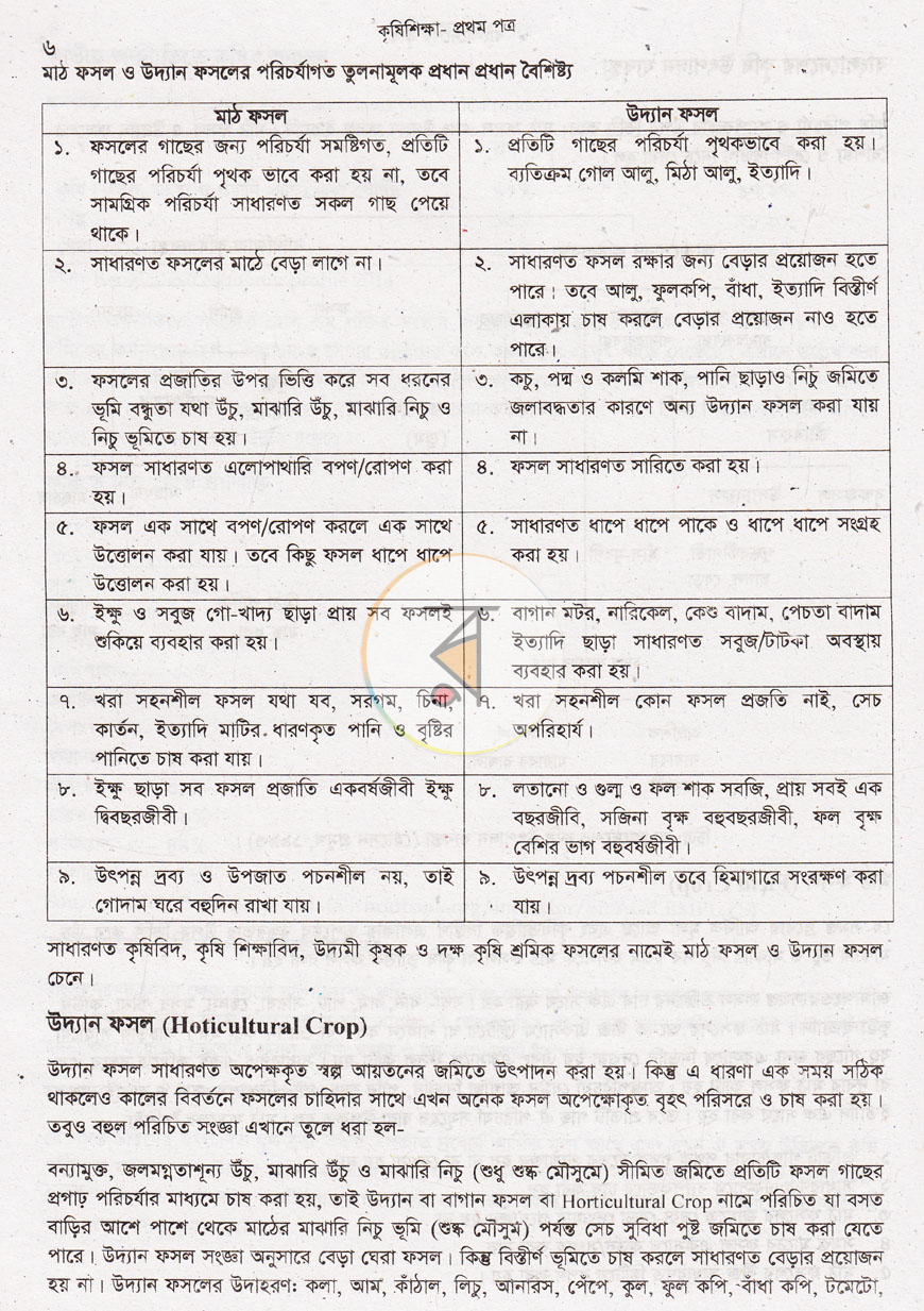 পাতা 11