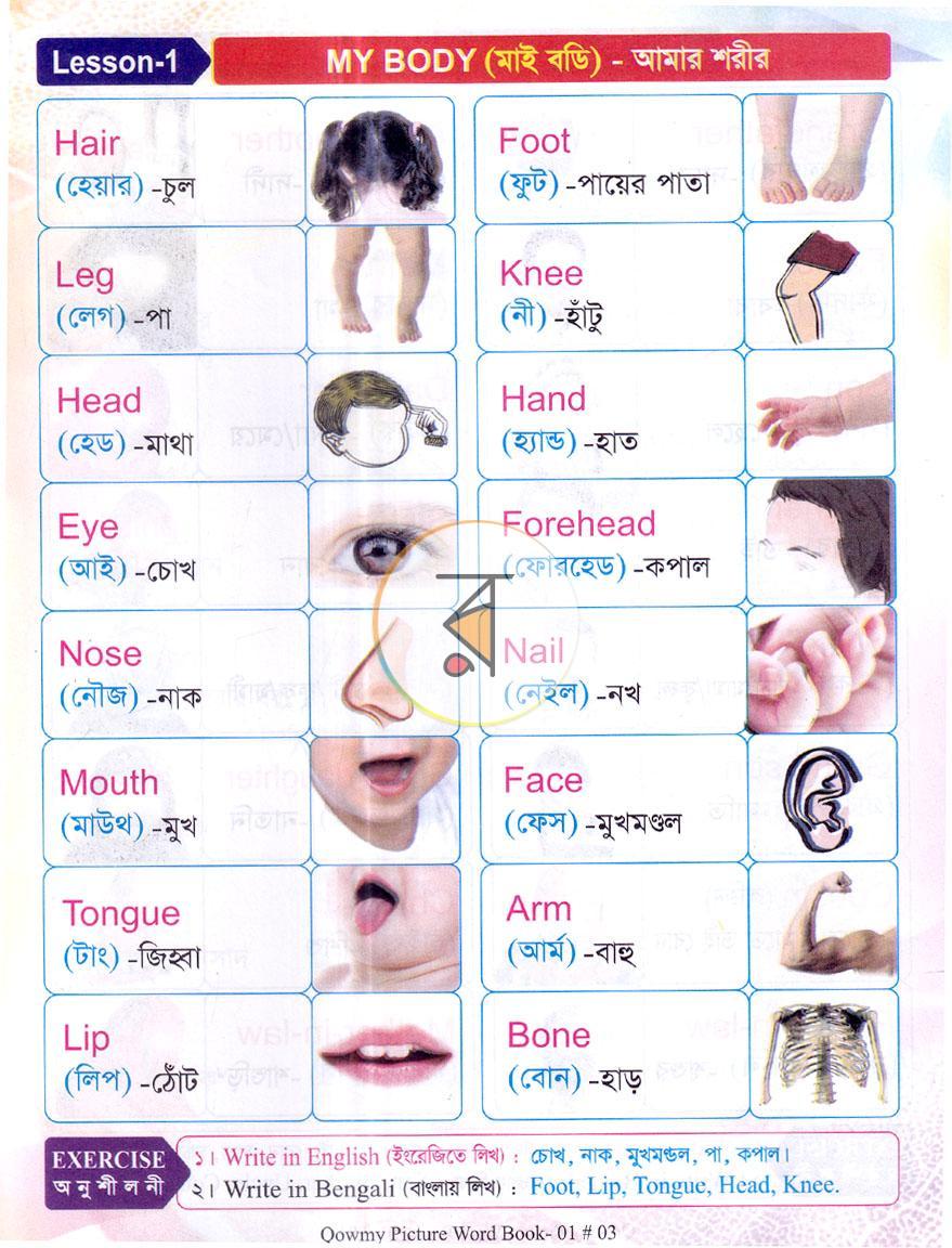 পাতা 3