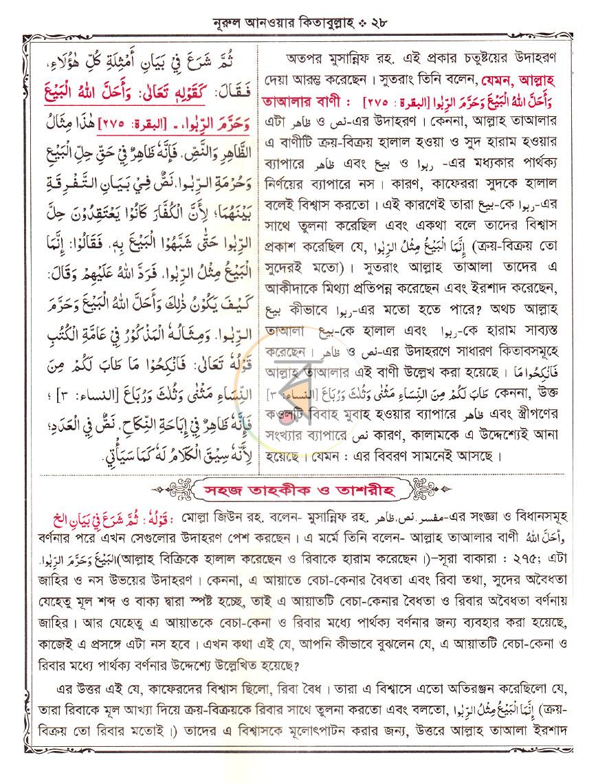 পাতা 11
