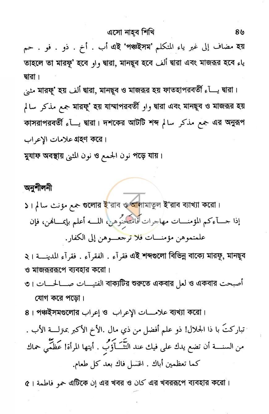 পাতা 8