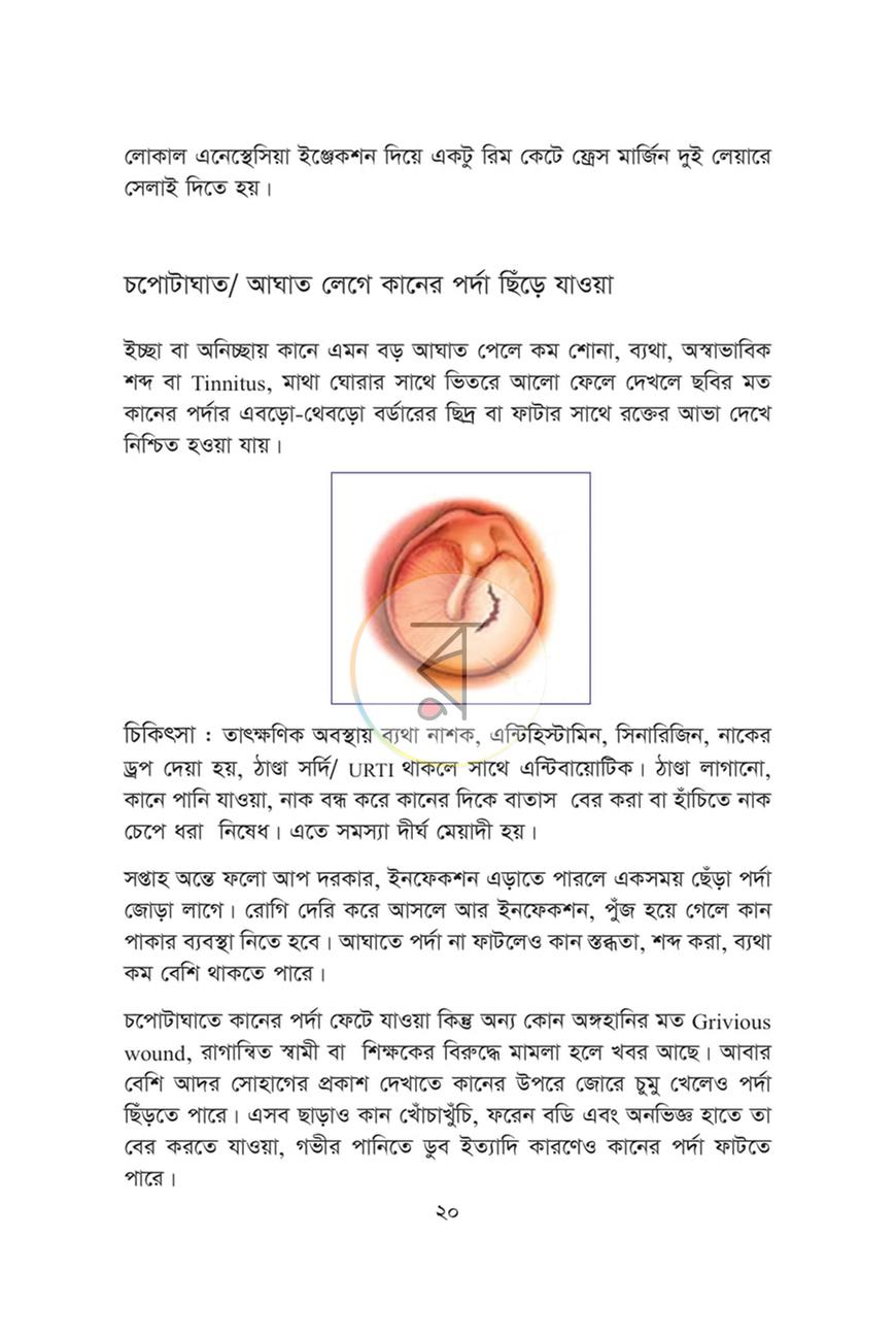 পাতা 16