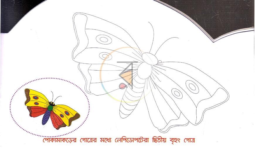 পাতা 4