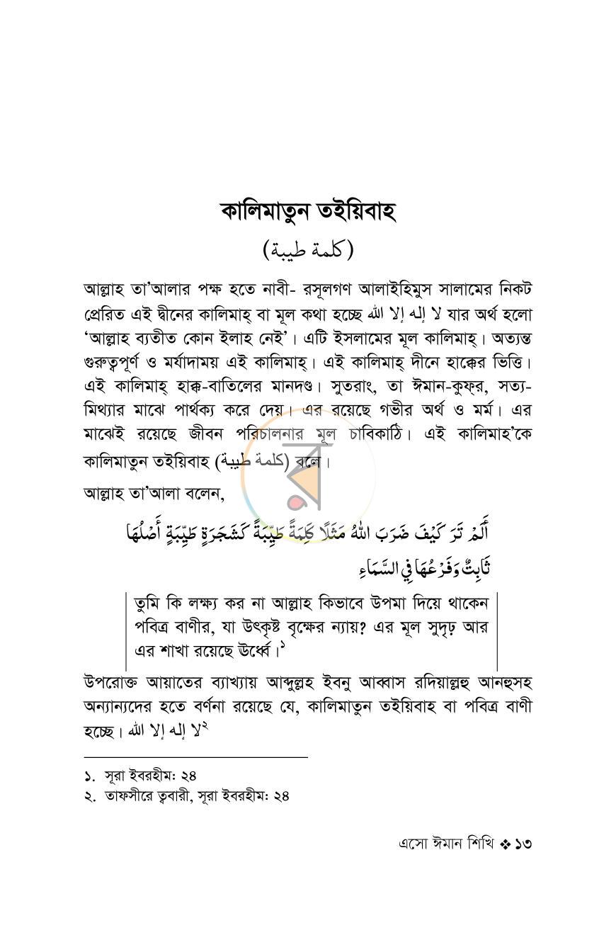 পাতা 13