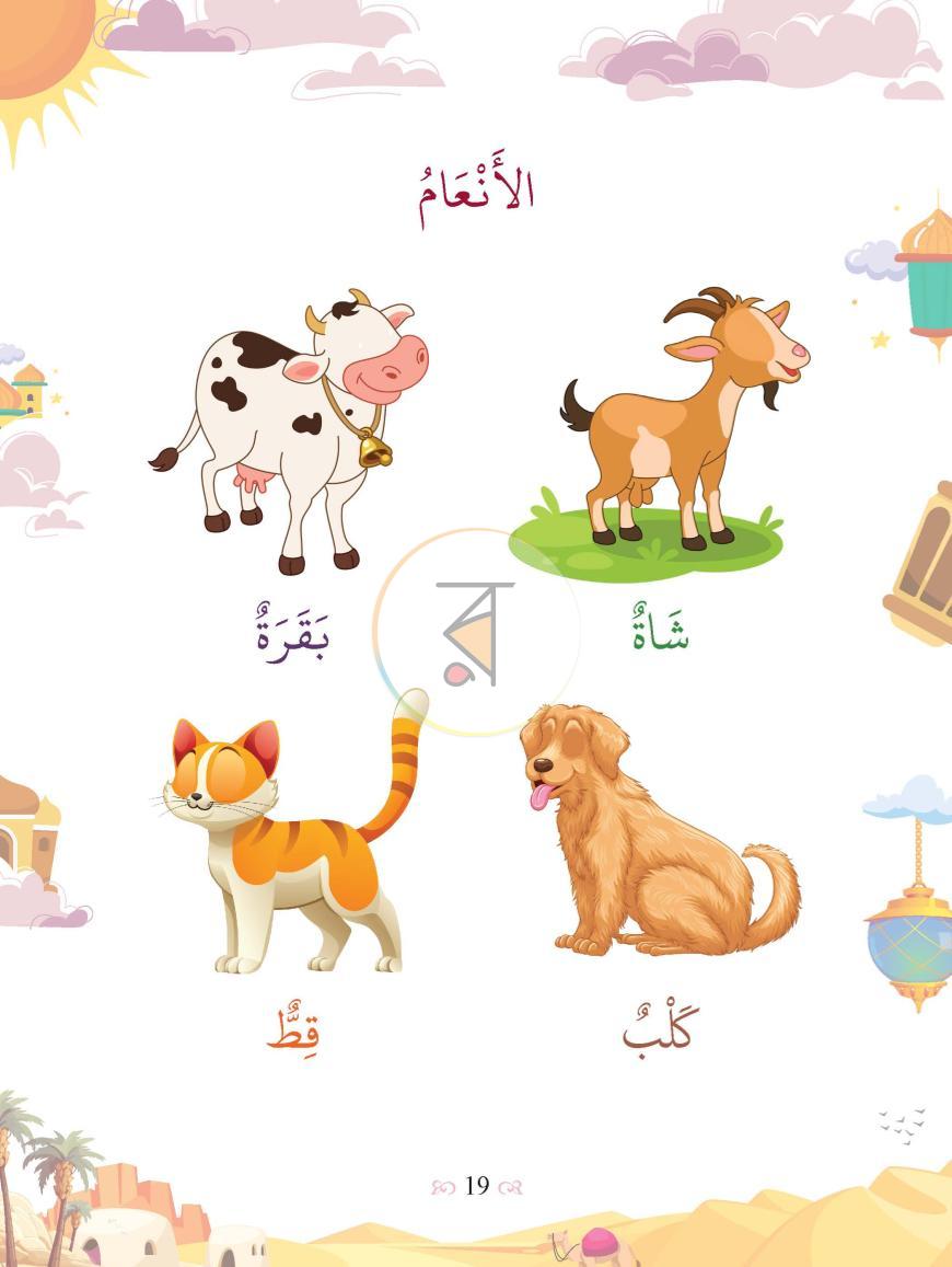 পাতা 11