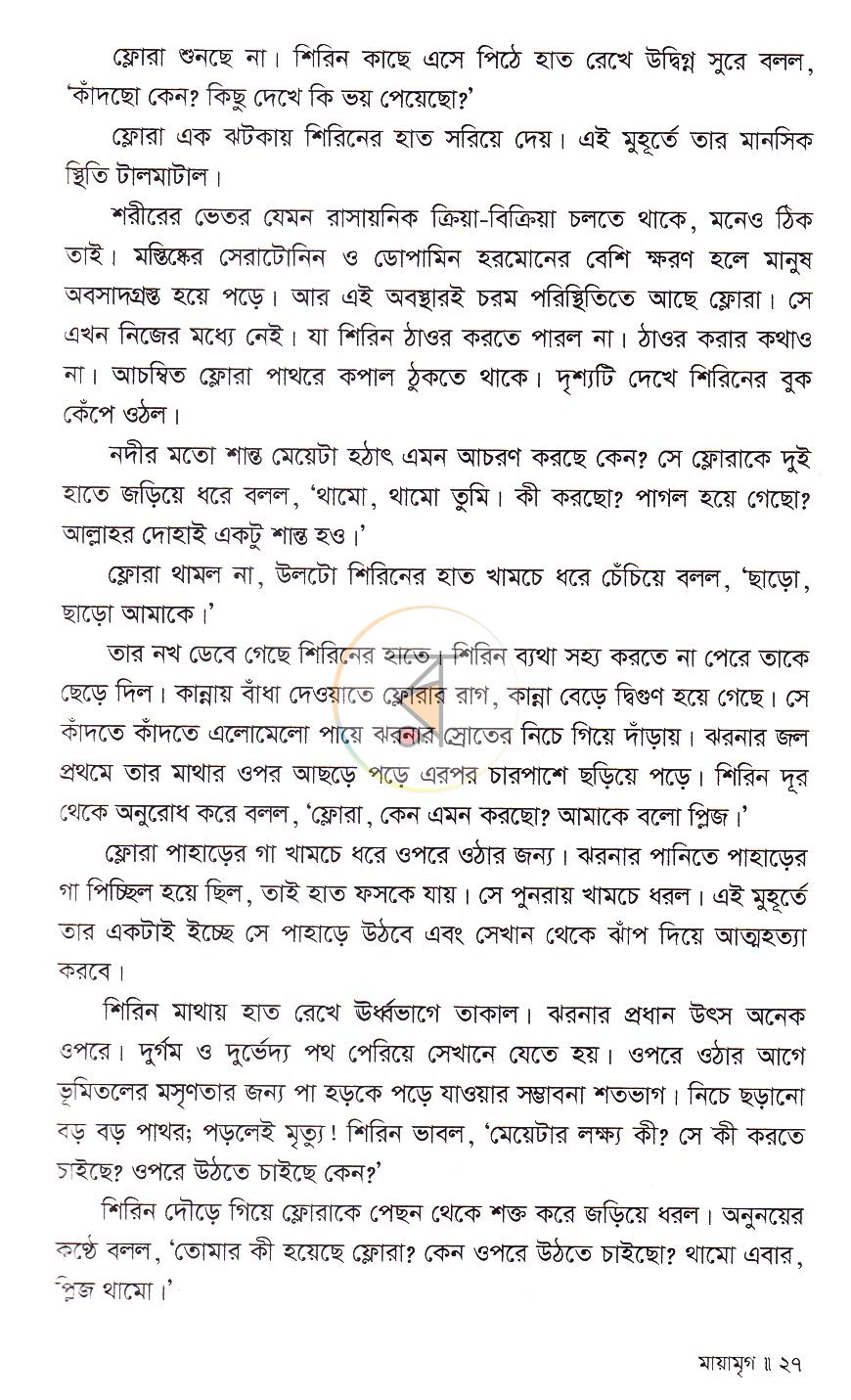 পাতা 13