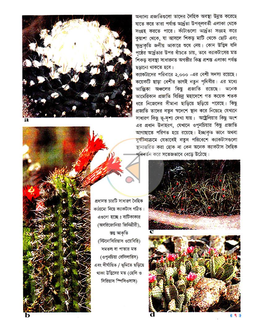 পাতা 4