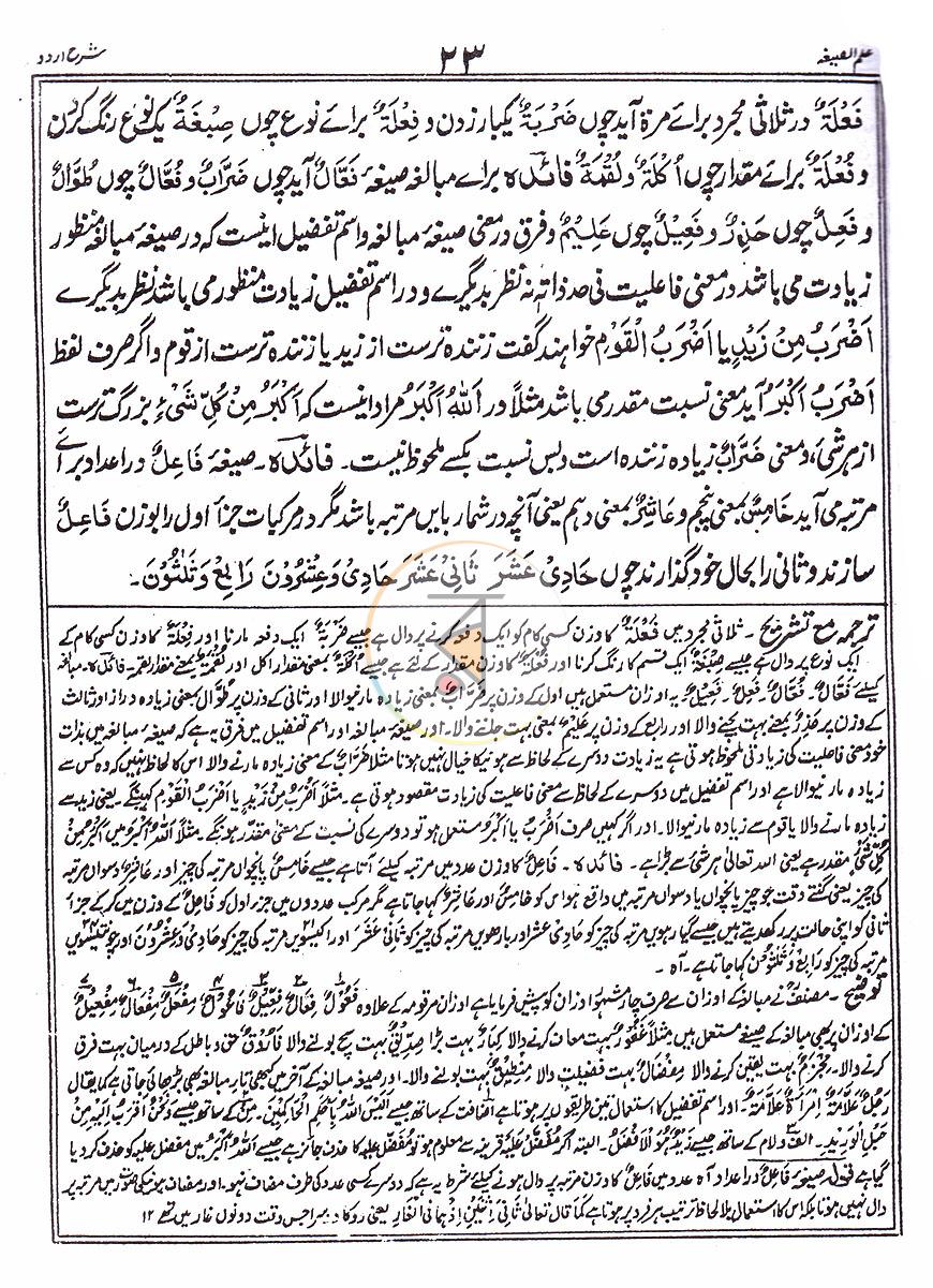 পাতা 10