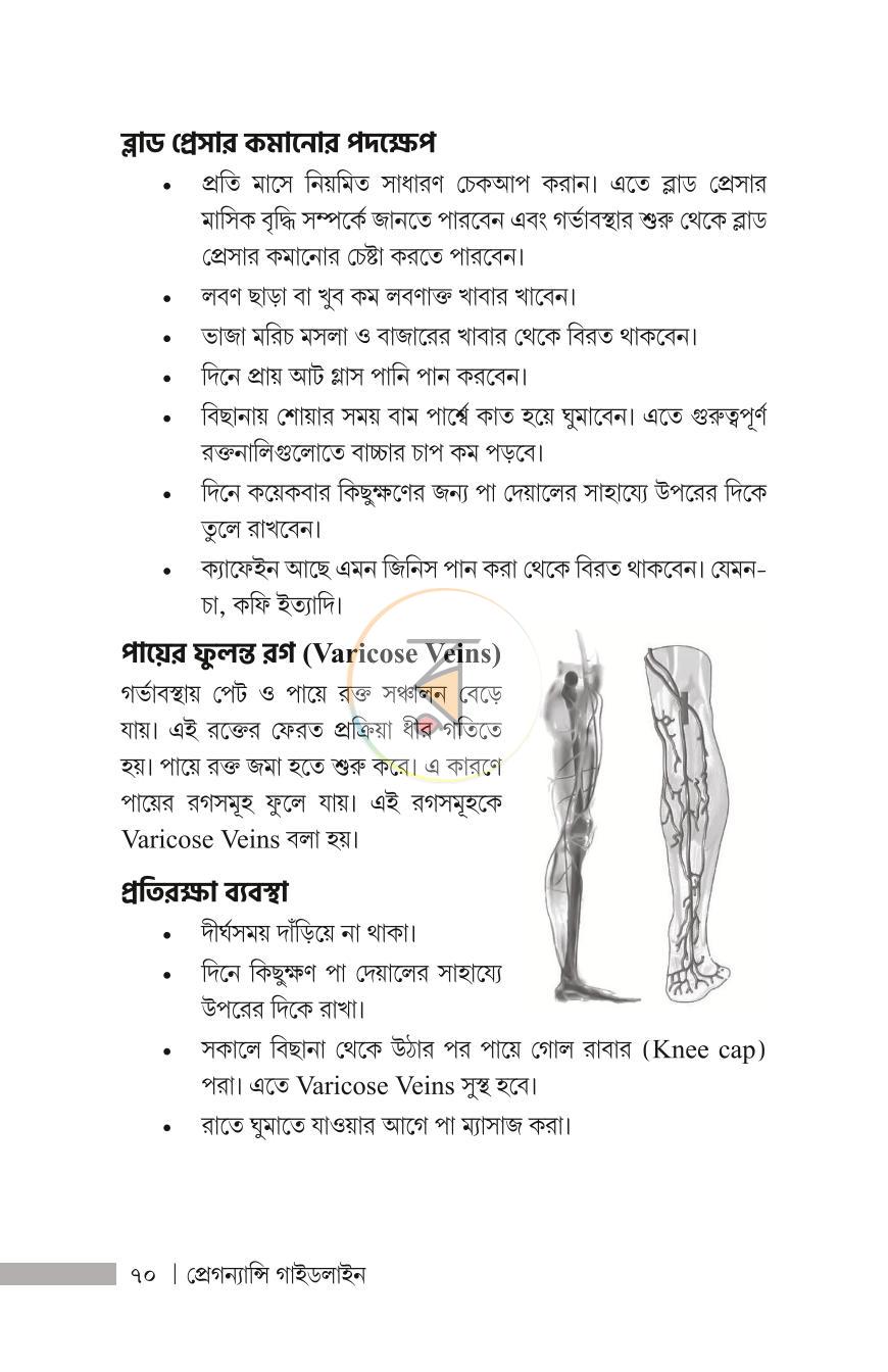 পাতা 22