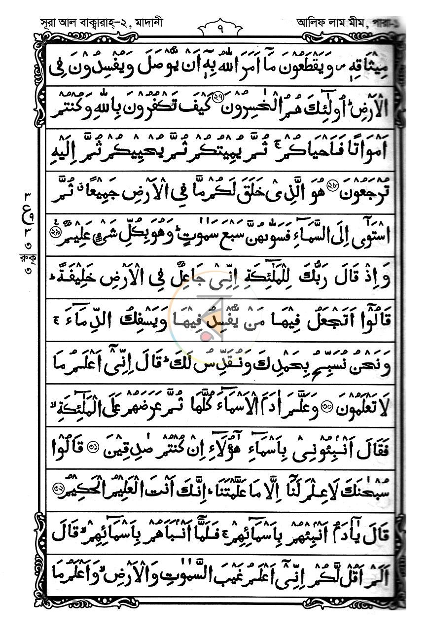 পাতা 15