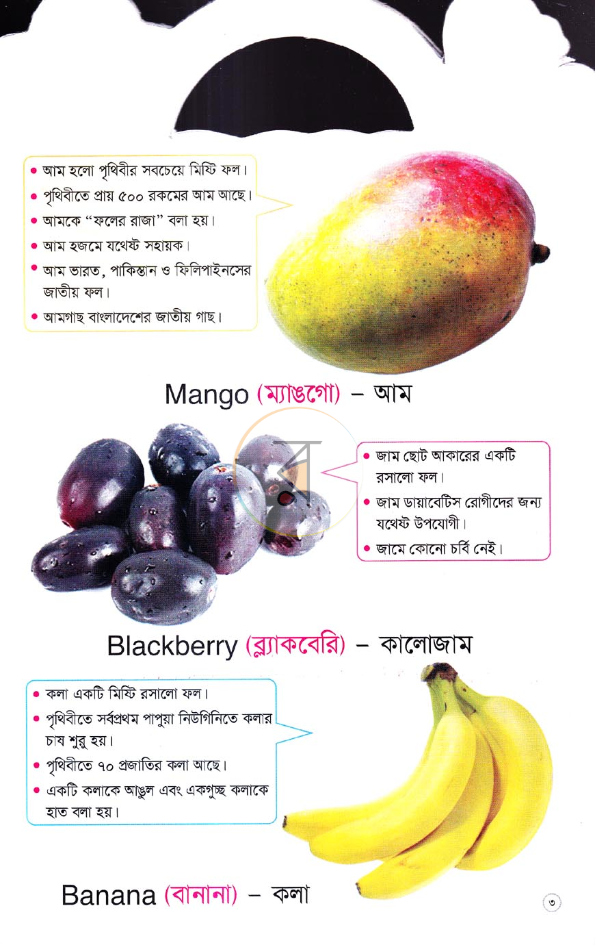 পাতা 2