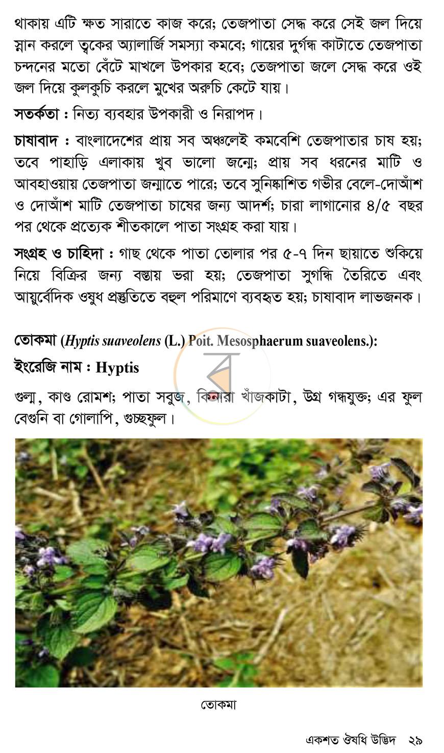 পাতা 19