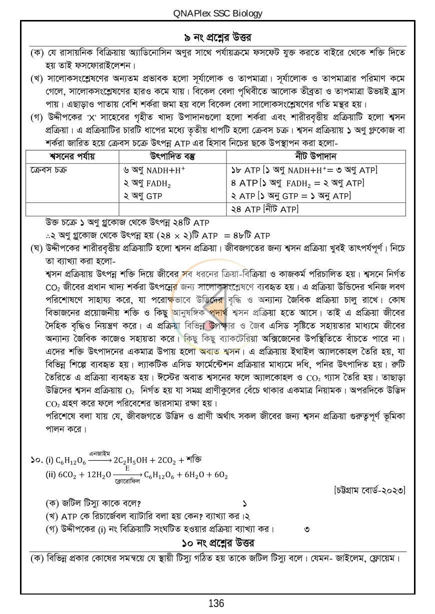 পাতা 16