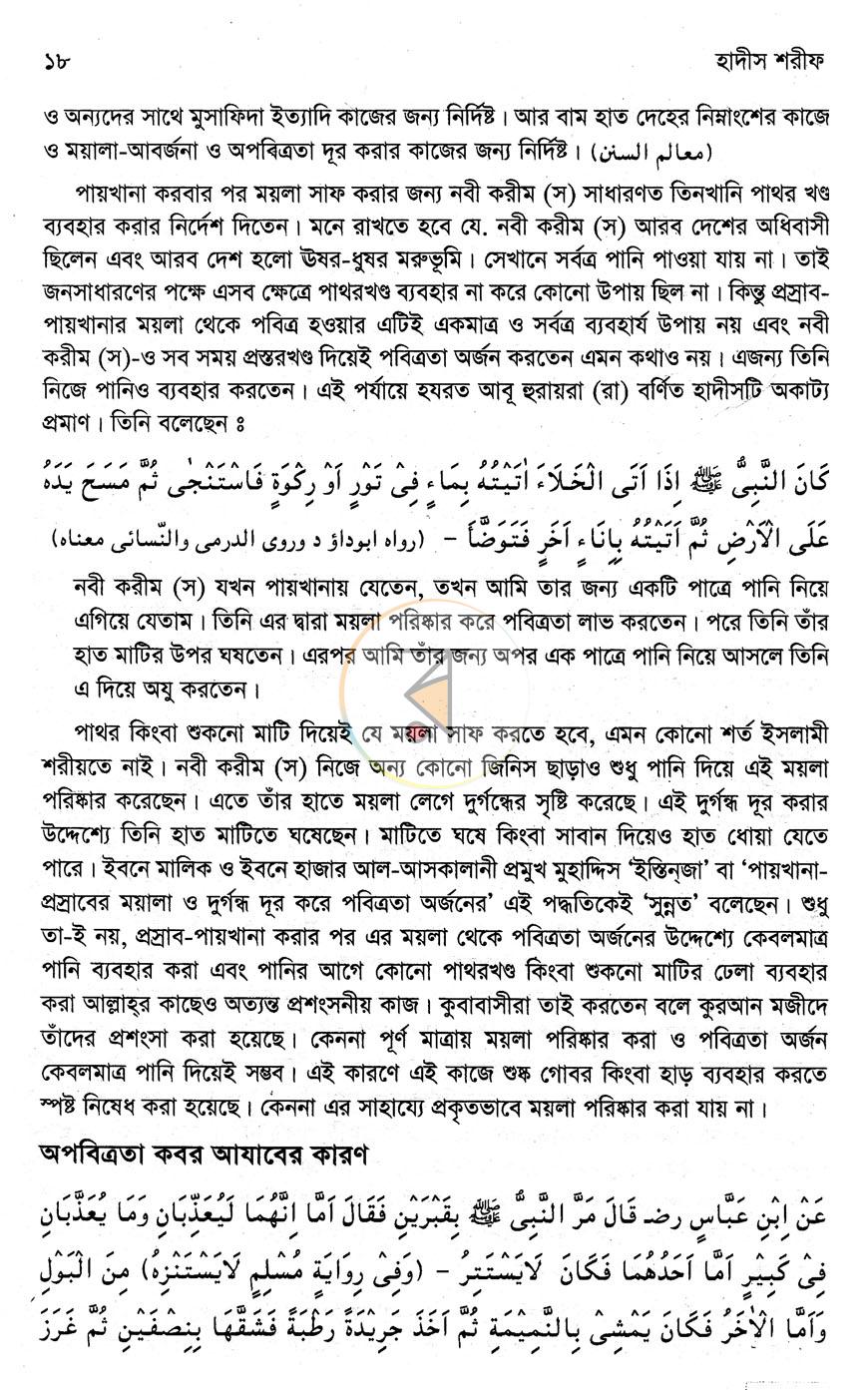 পাতা 13