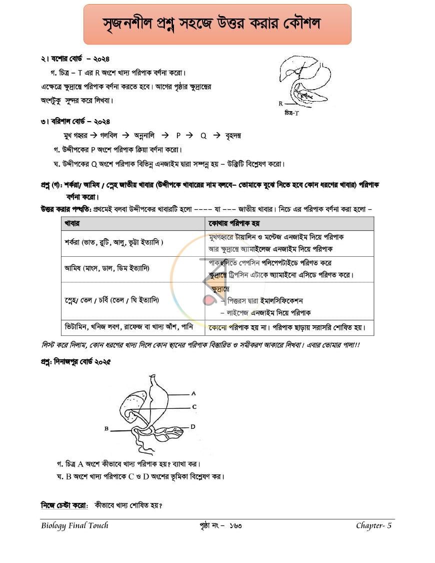 পাতা 19