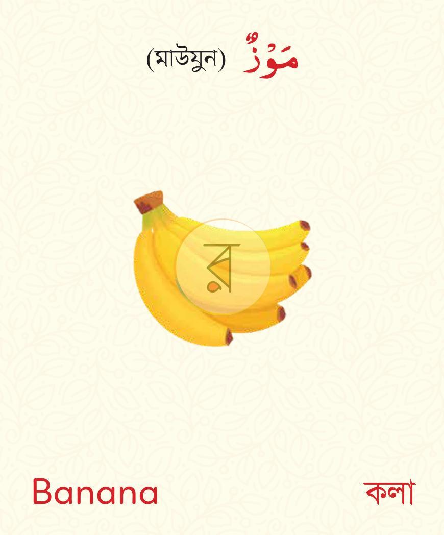 পাতা 4