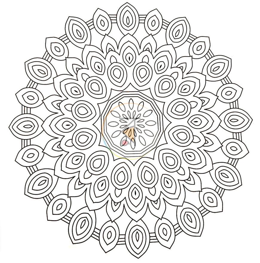 পাতা 6