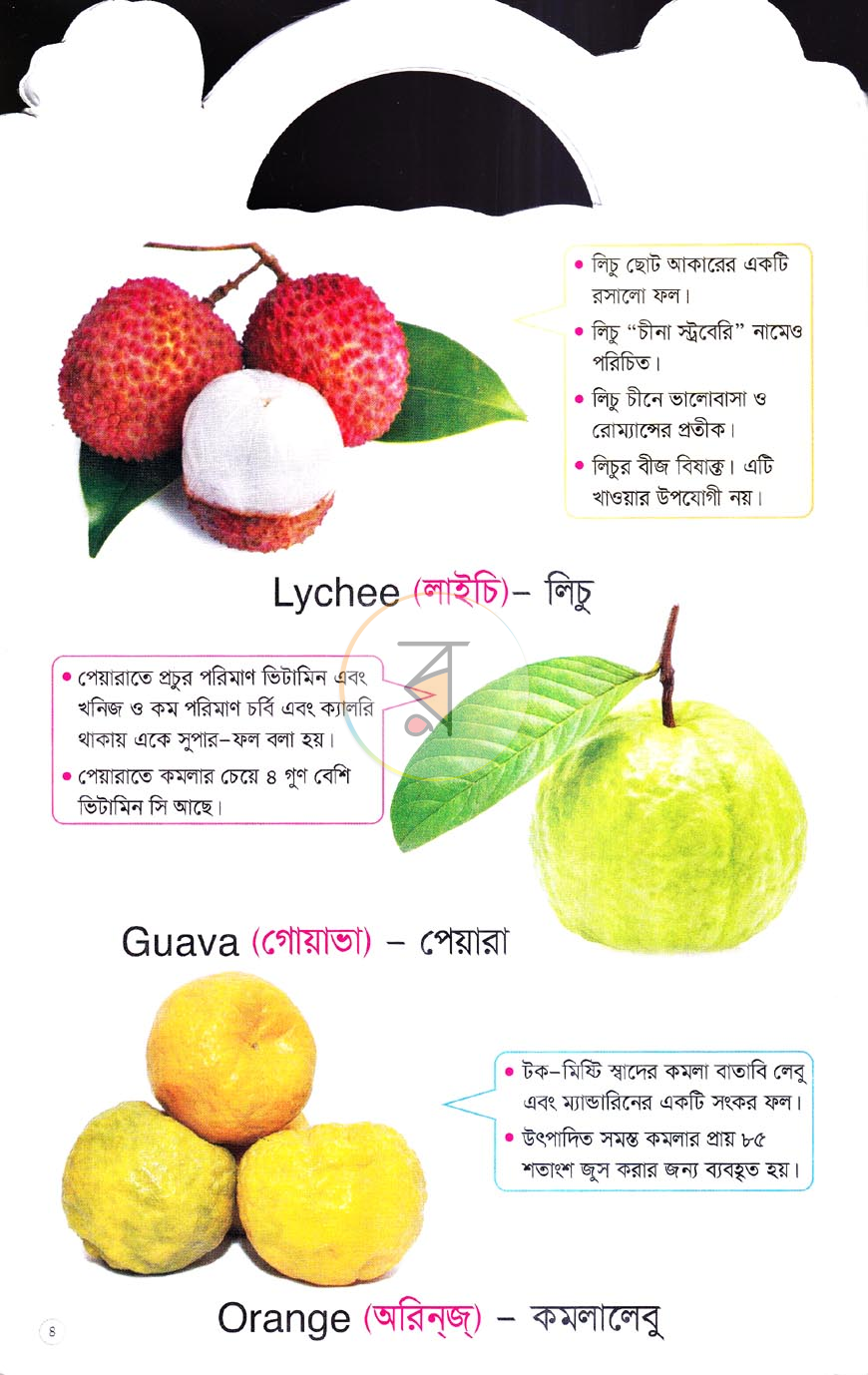 পাতা 3