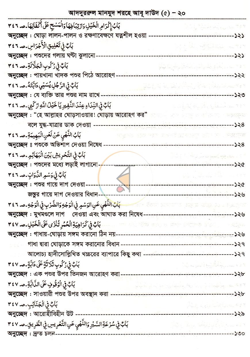 পাতা 13