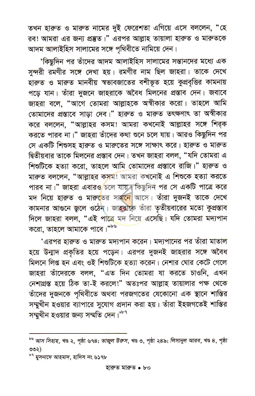 পাতা 11