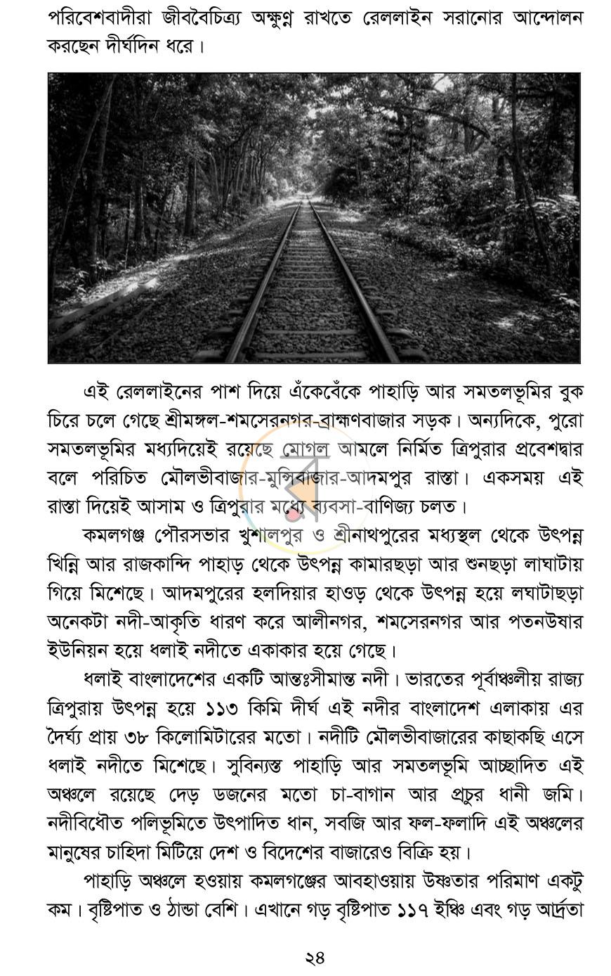 পাতা 19