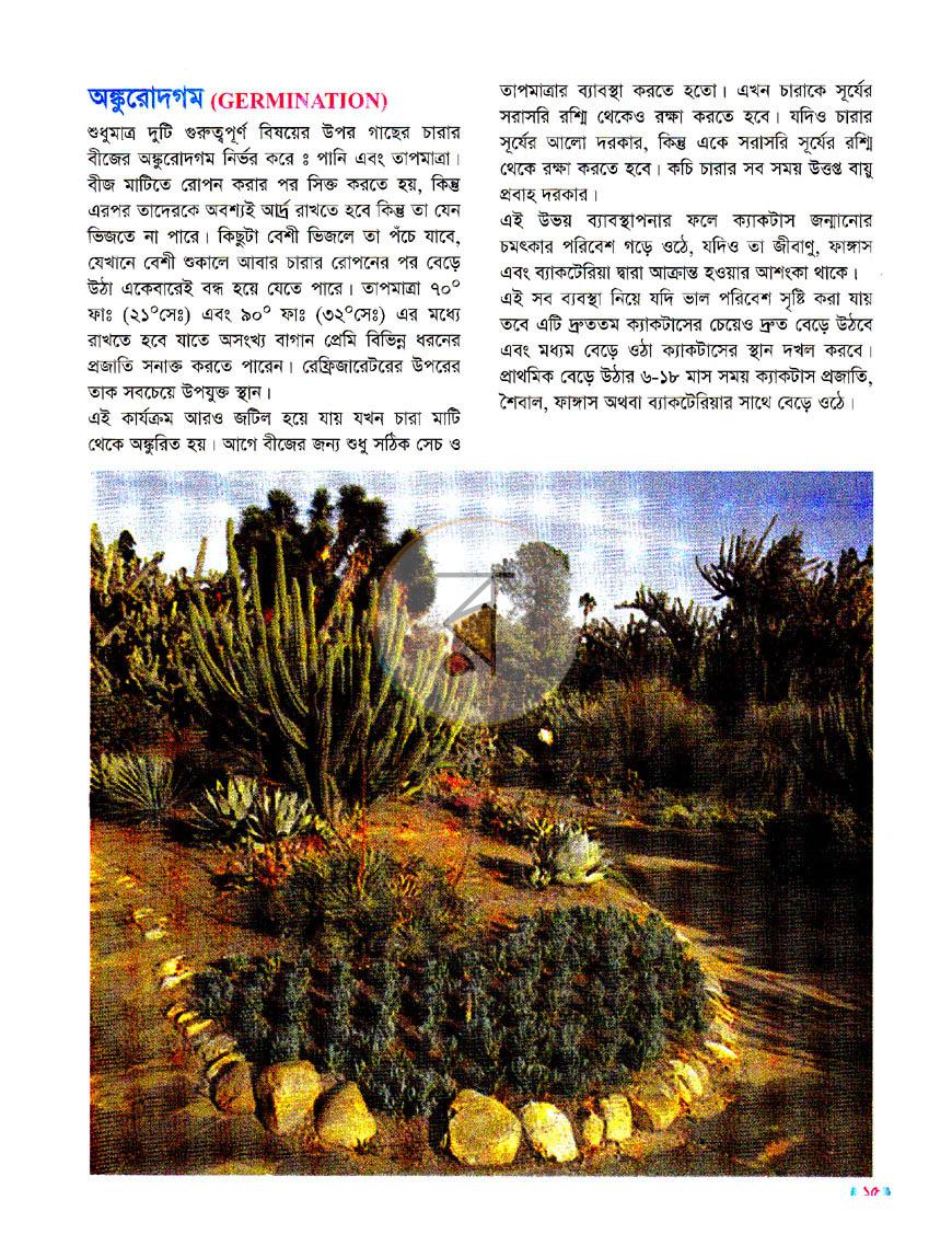 পাতা 10