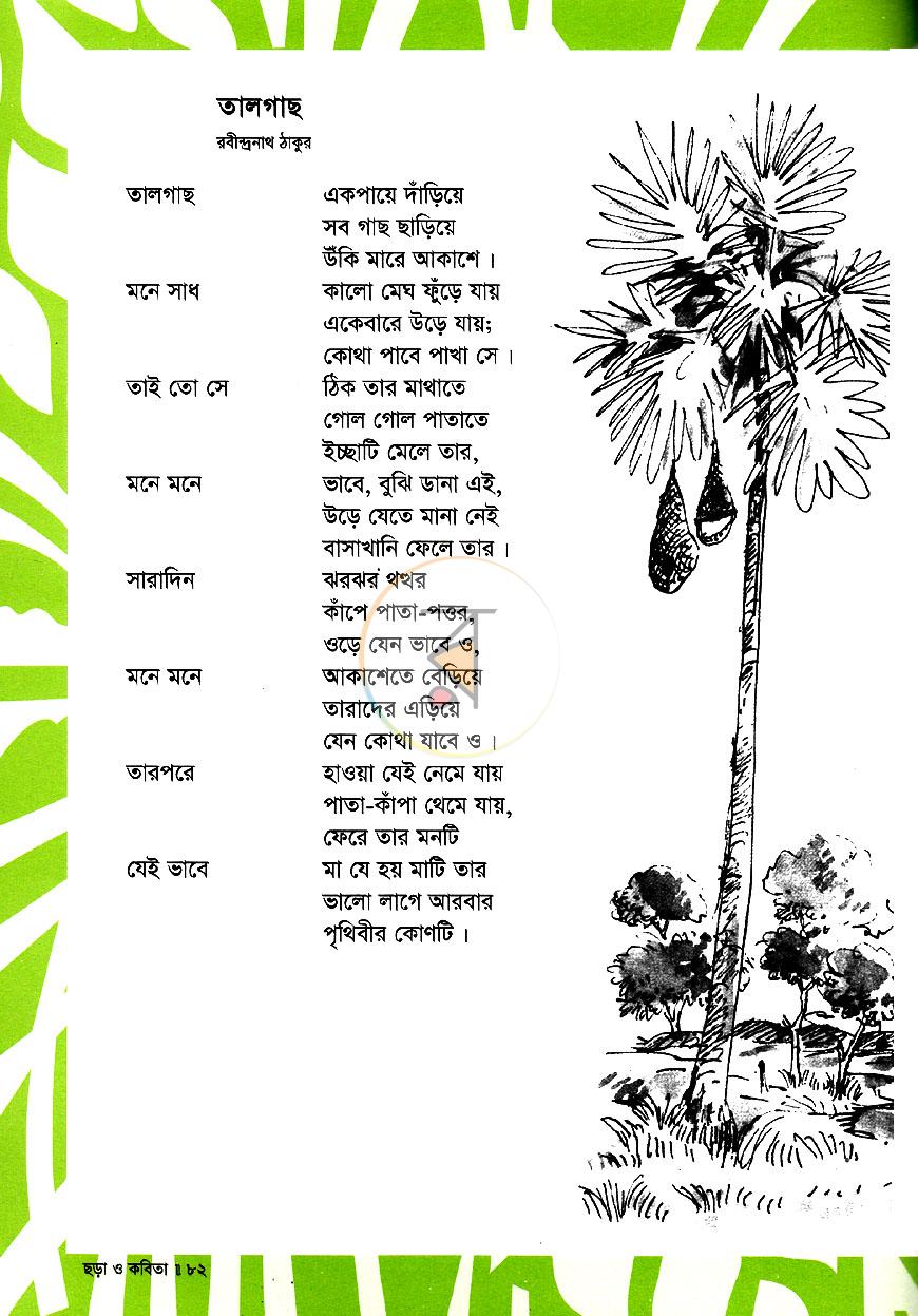 পাতা 11