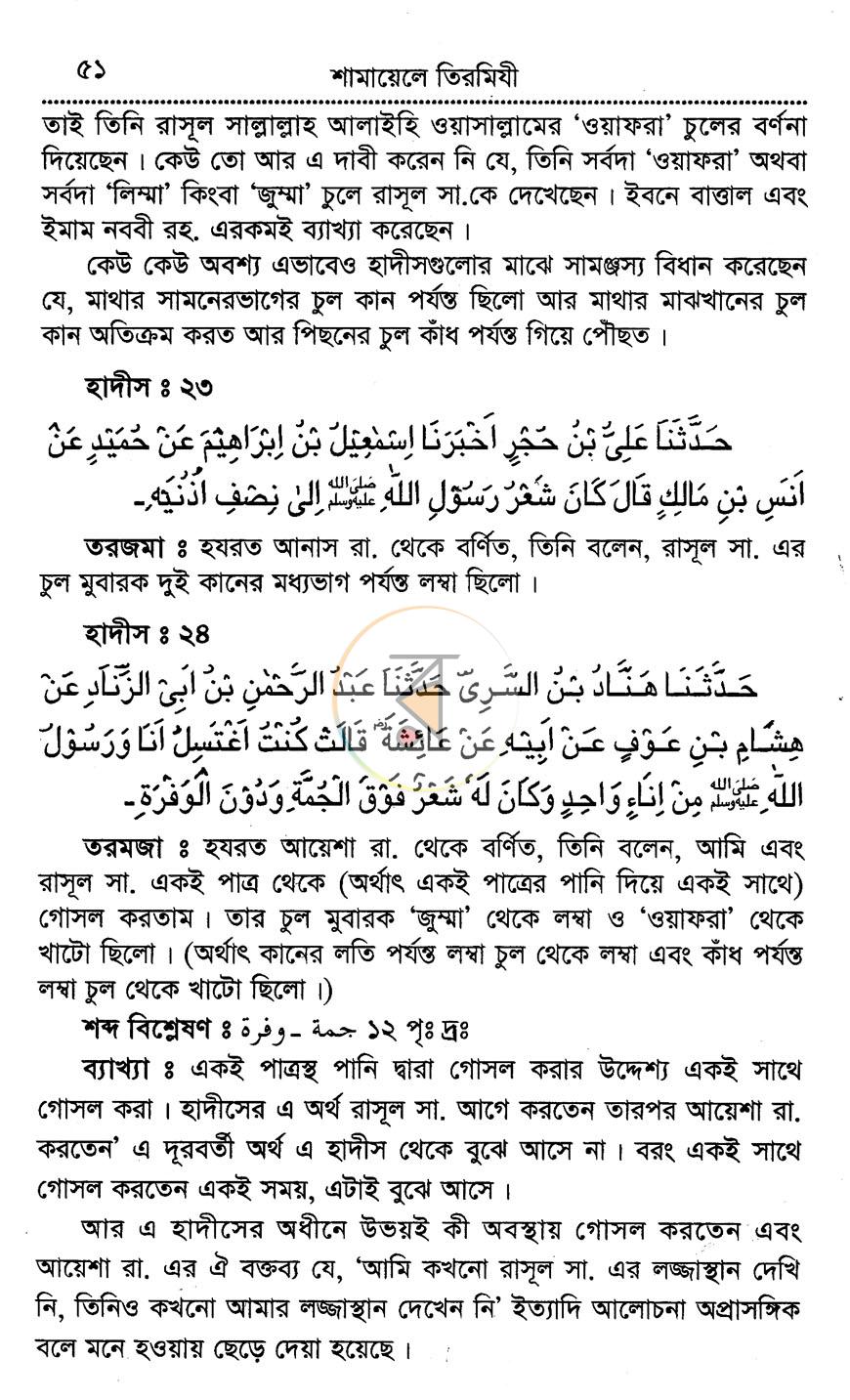 পাতা 13