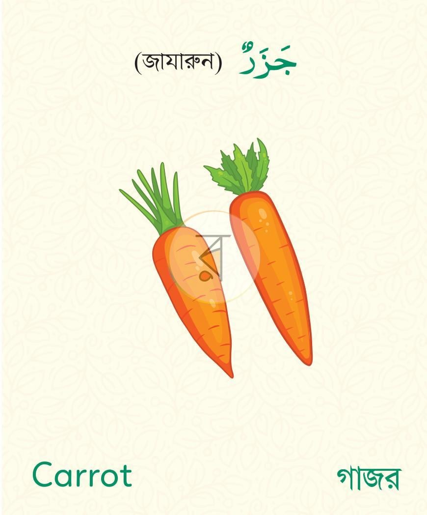 পাতা 4