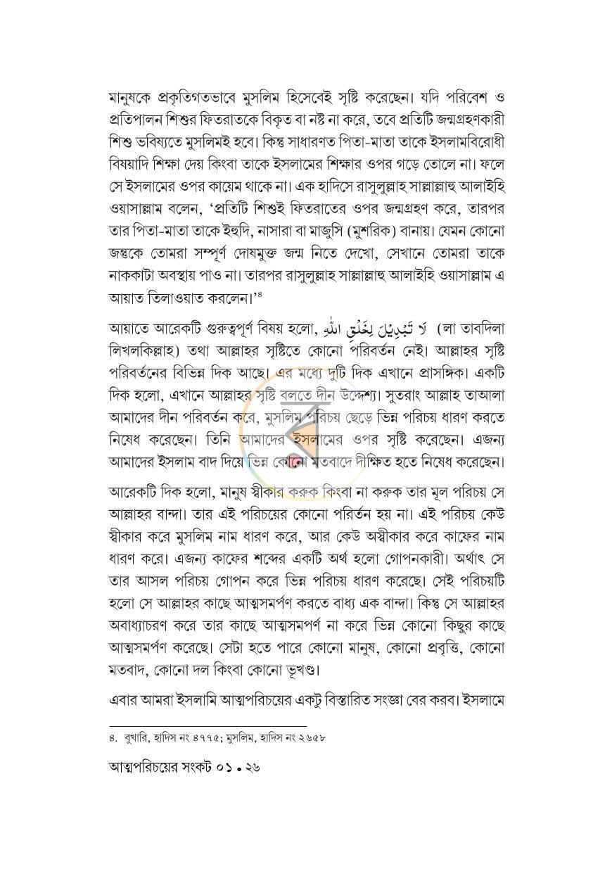 পাতা 19