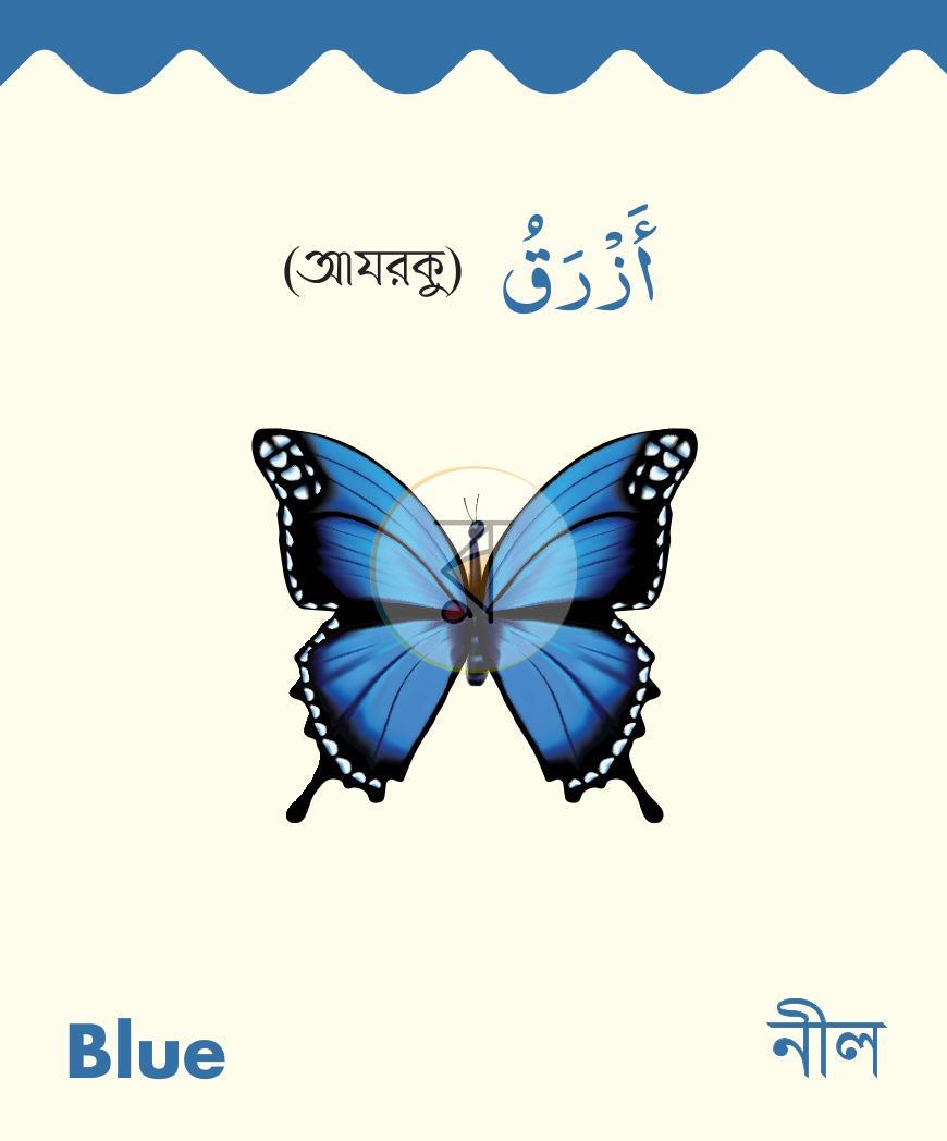 পাতা 3