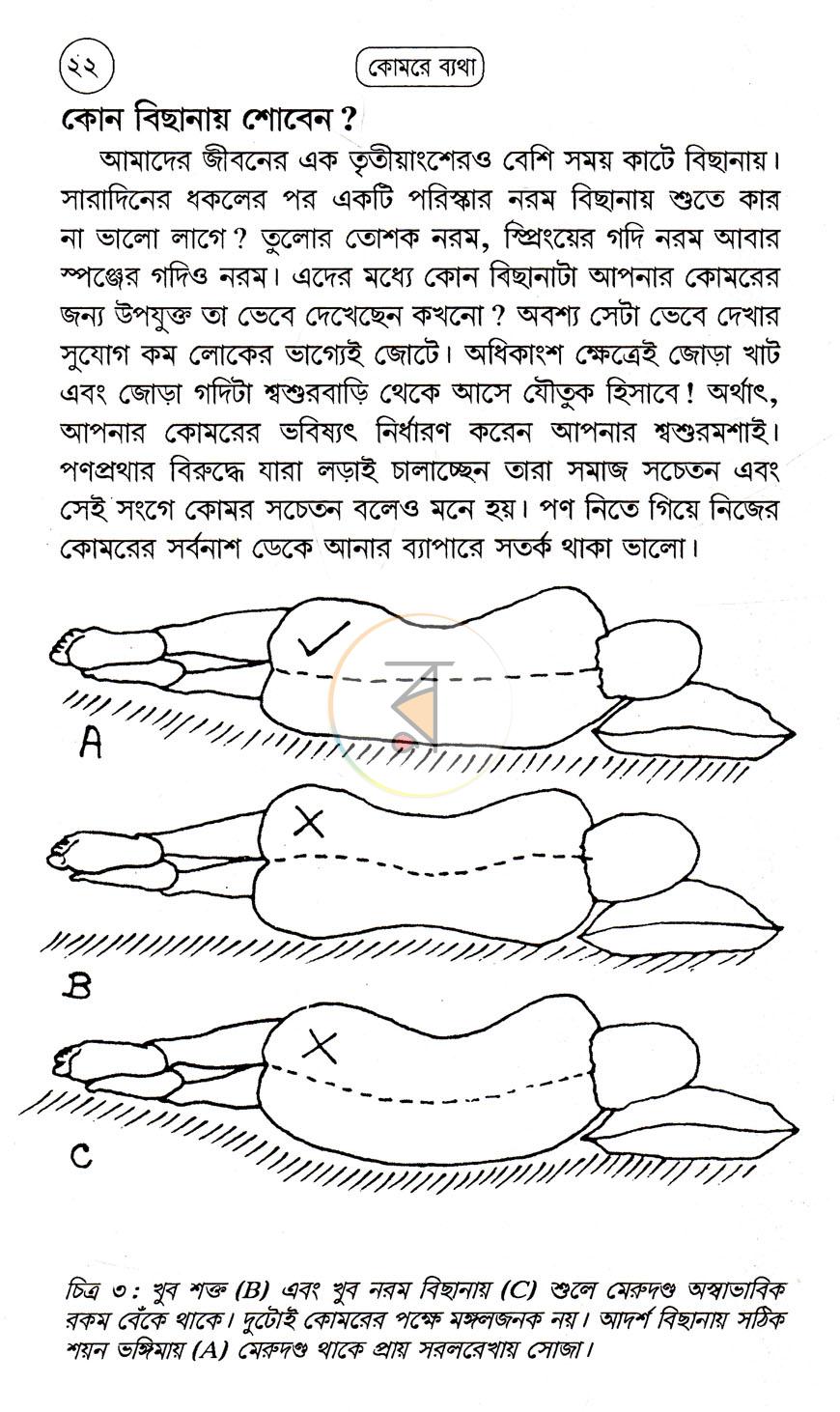 পাতা 11