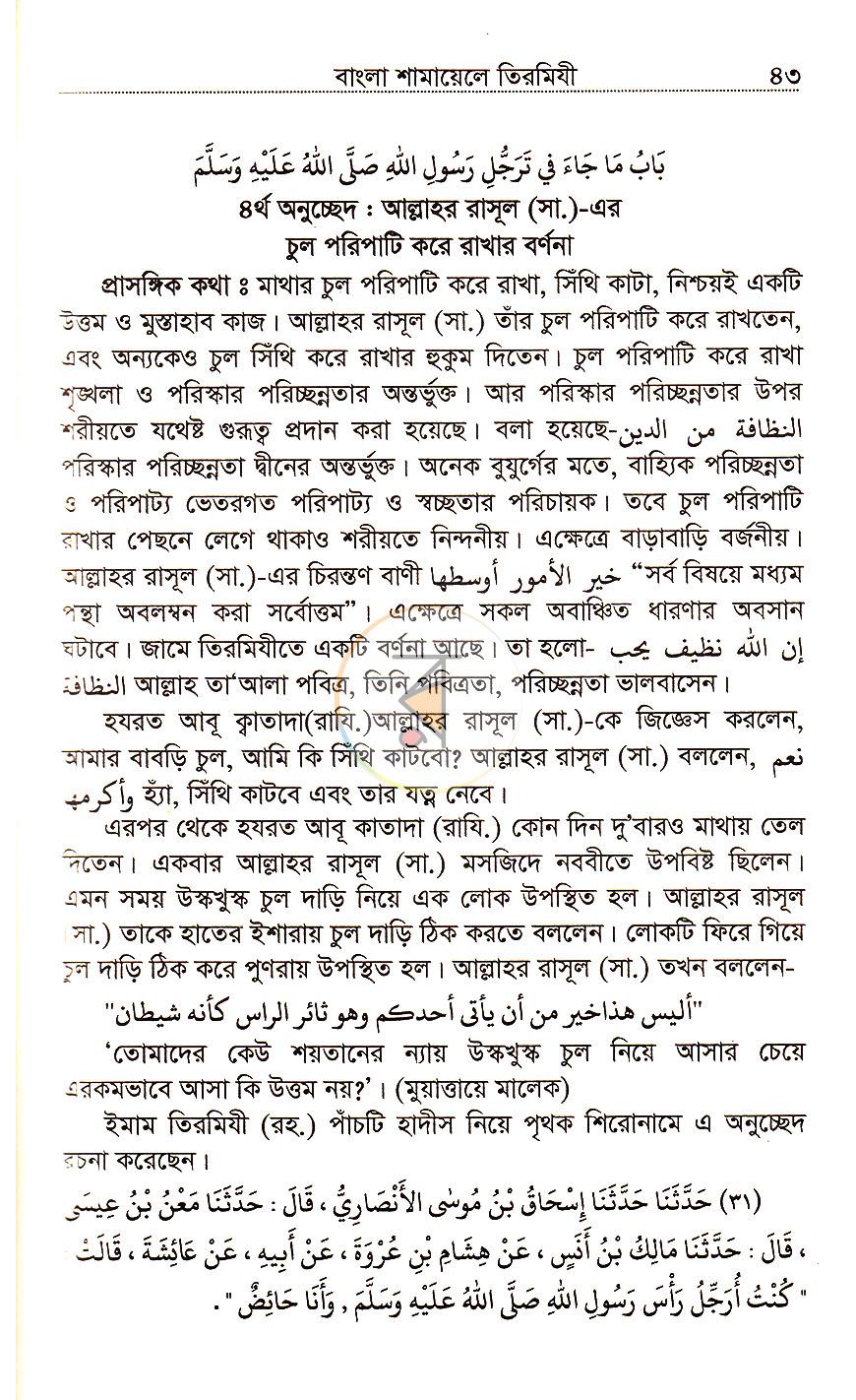 পাতা 12