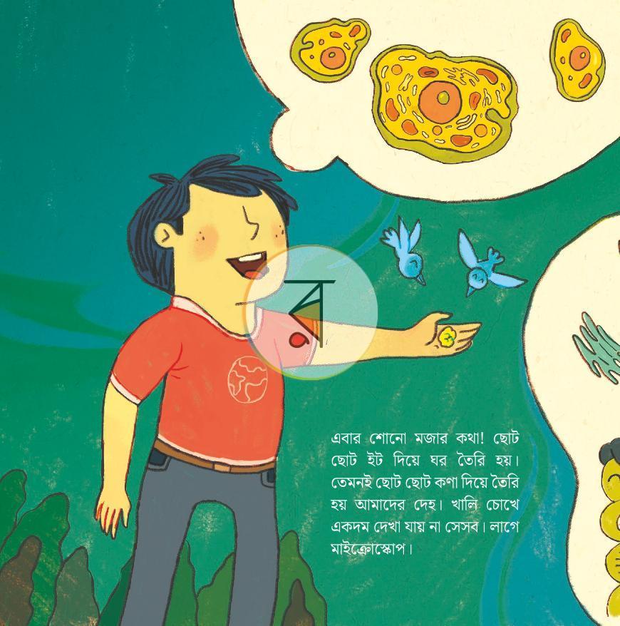 পাতা 8
