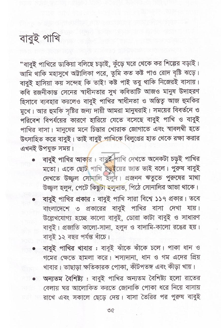 পাতা 10