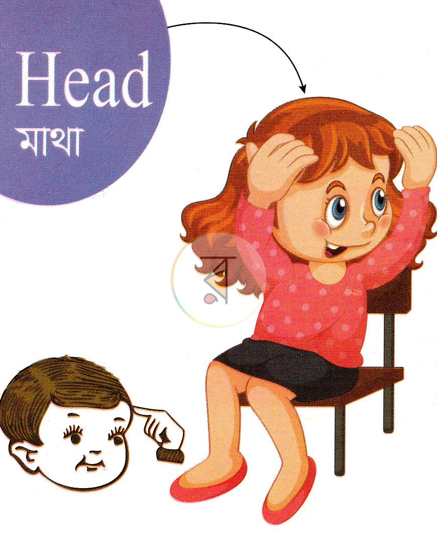 পাতা 1