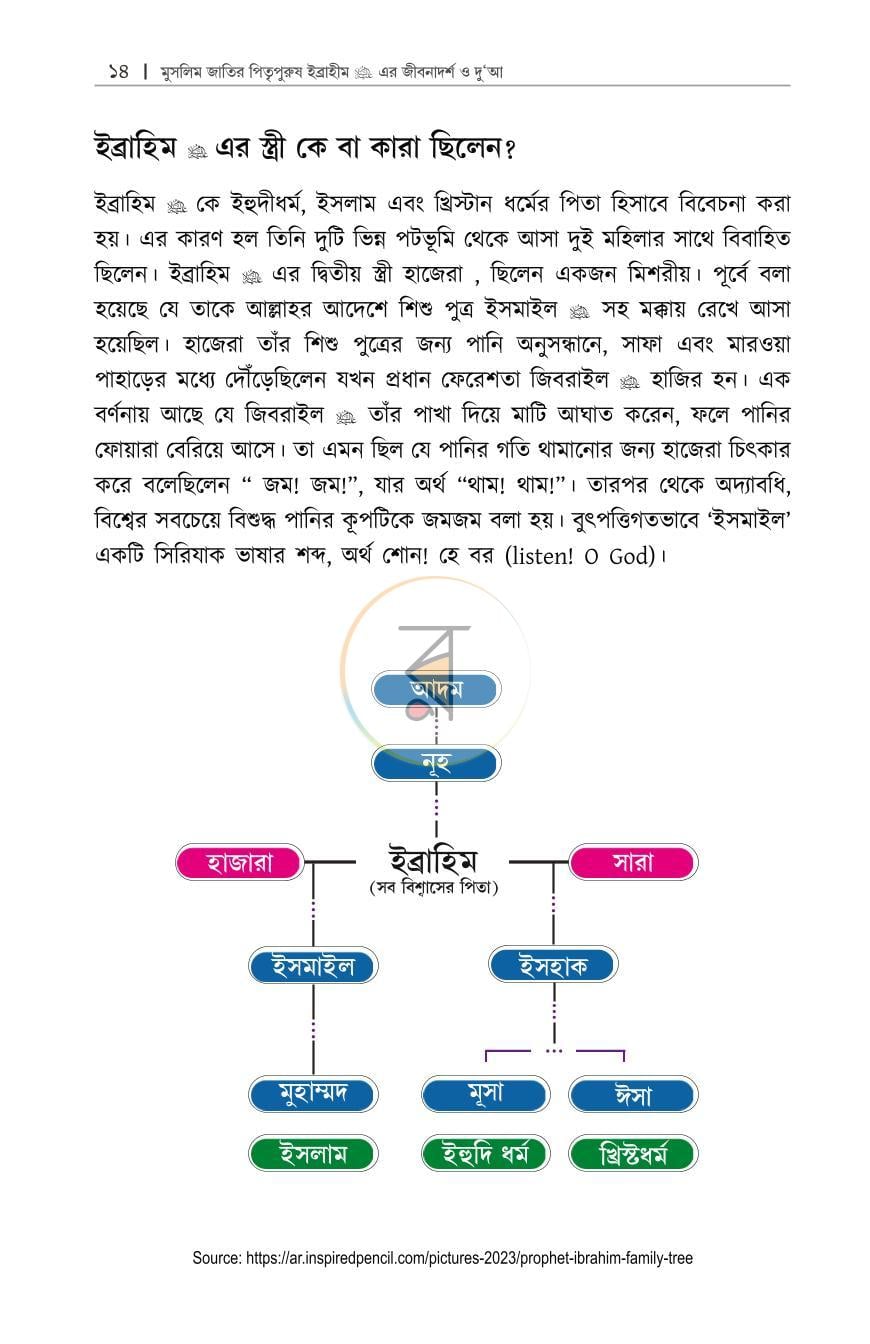 পাতা 13