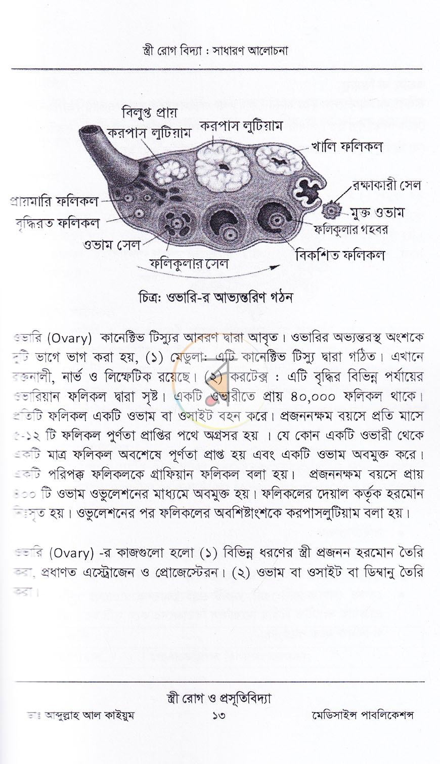 পাতা 8