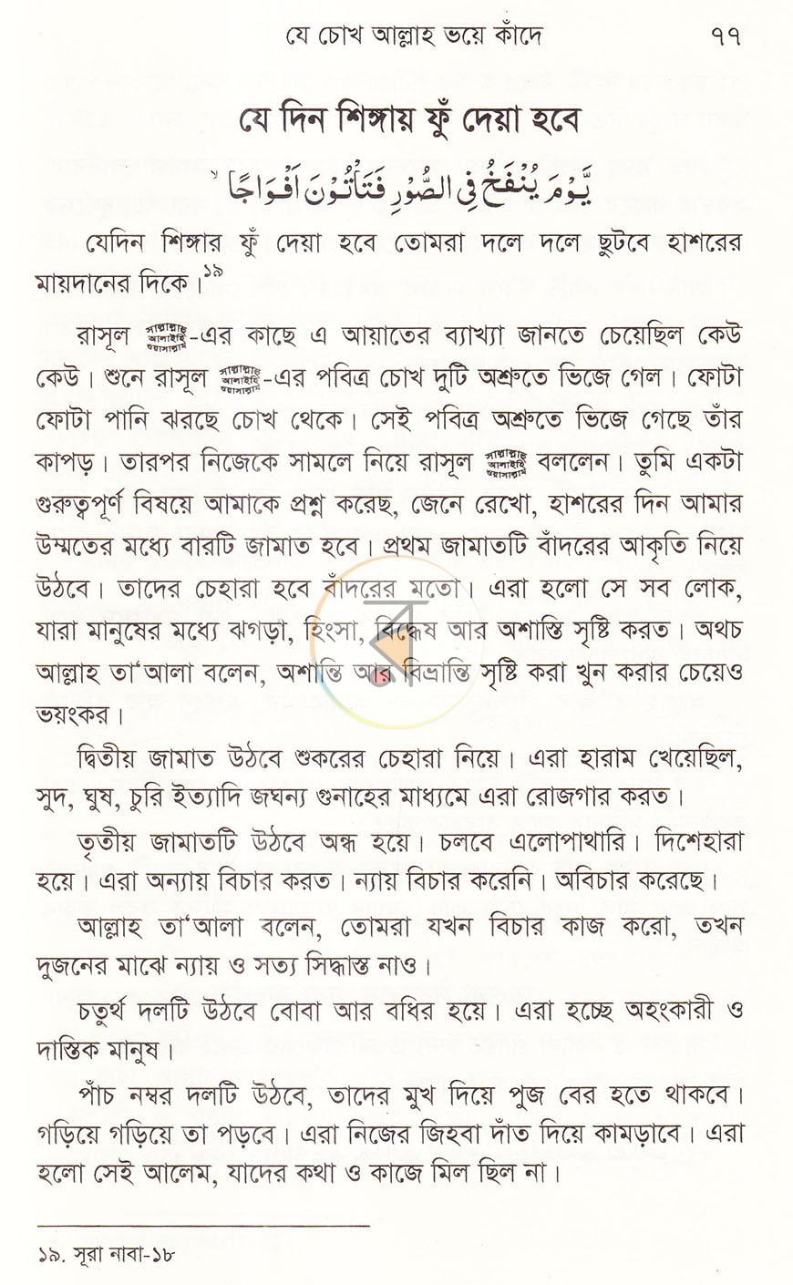 পাতা 11
