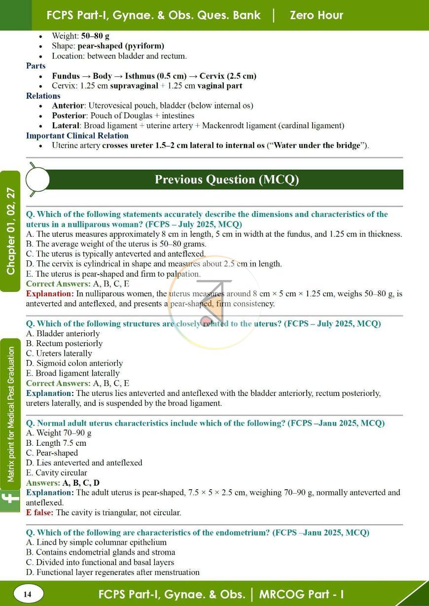পাতা 10