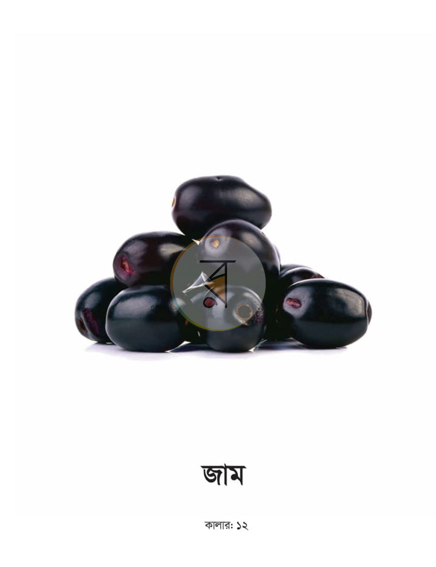 পাতা 22