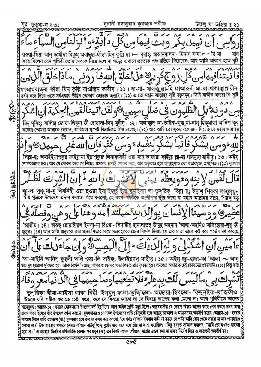 পাতা 8