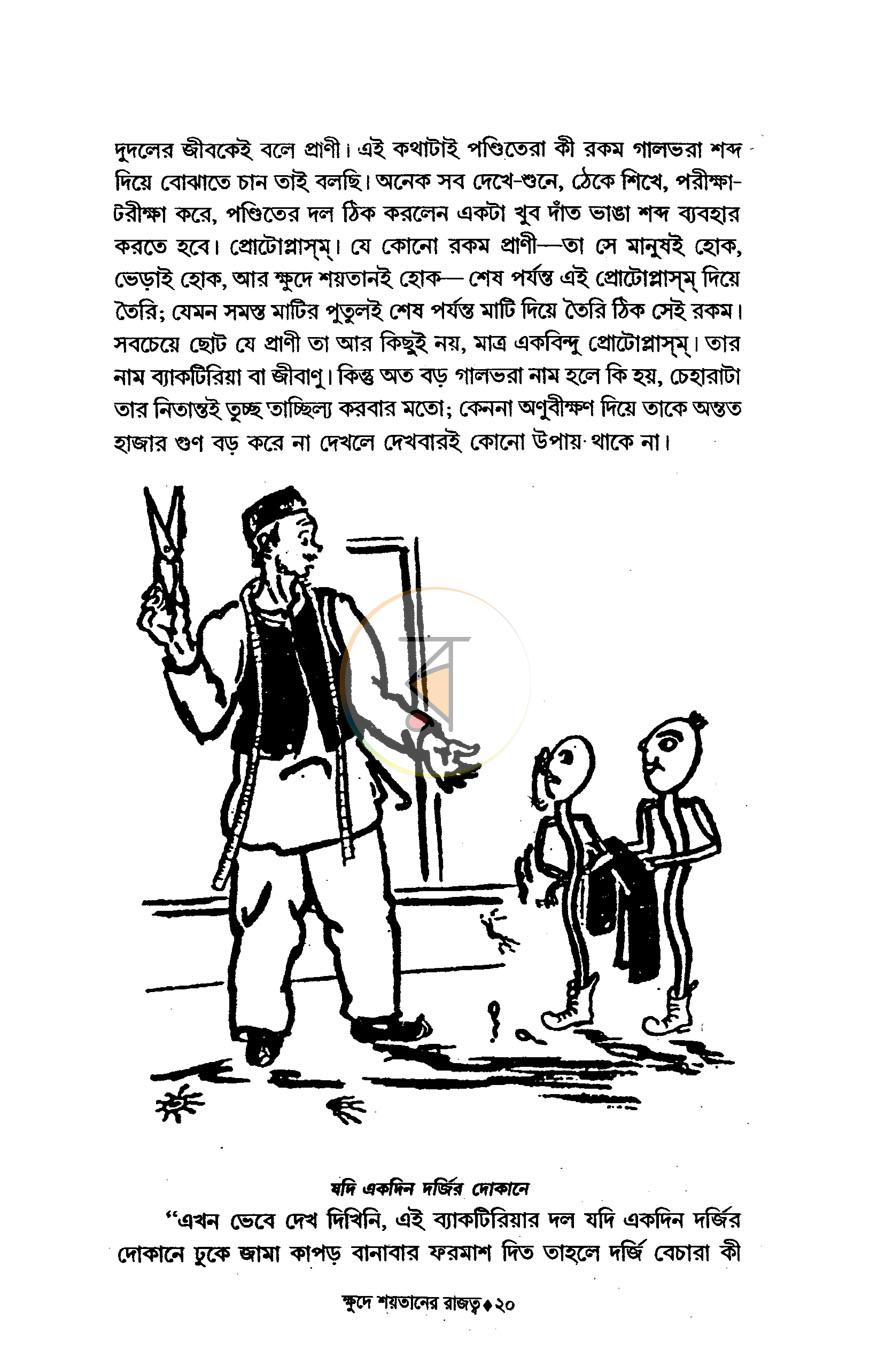 পাতা 11