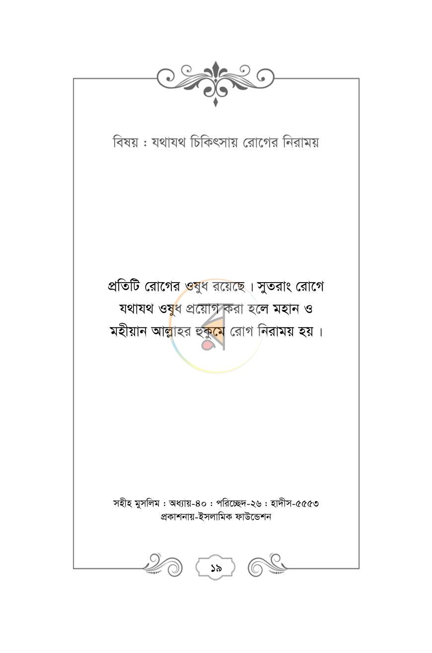 পাতা 11