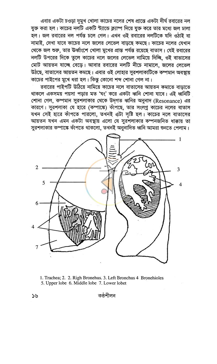 পাতা 11
