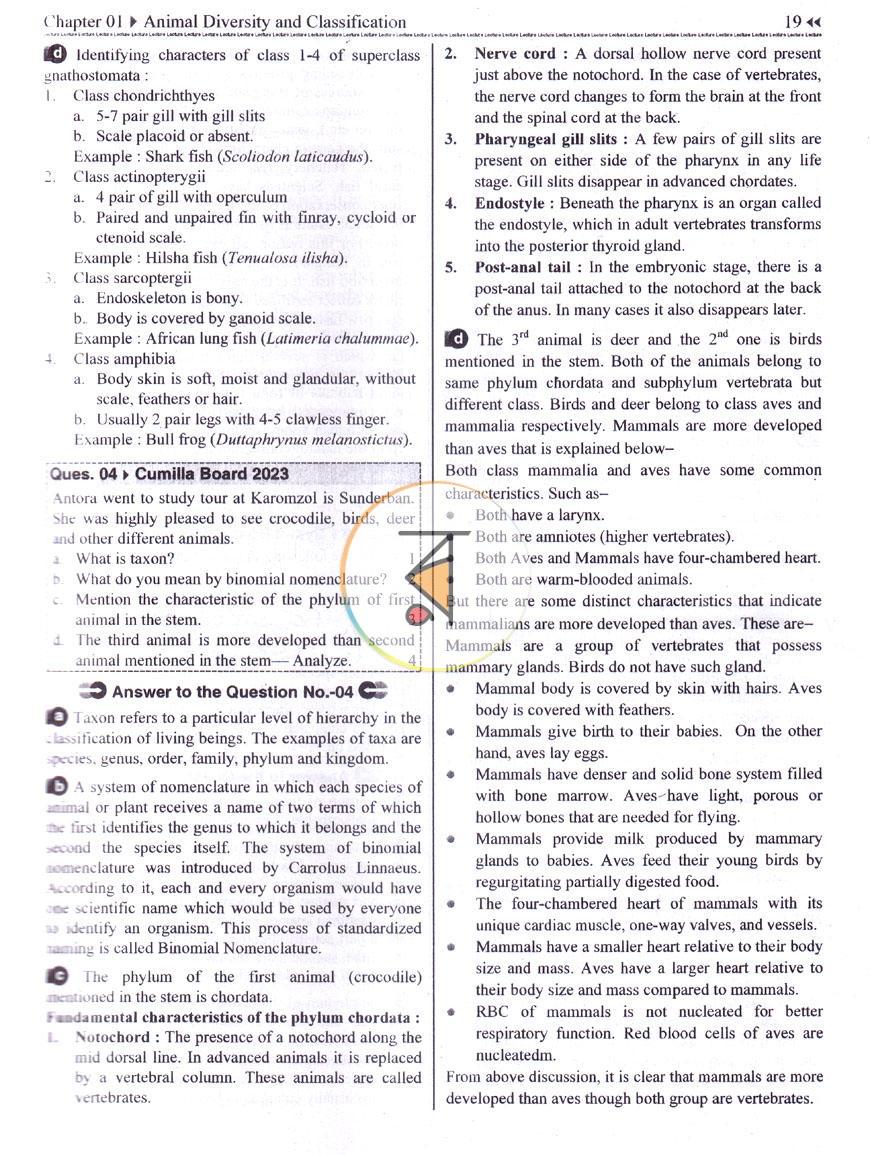 পাতা 10