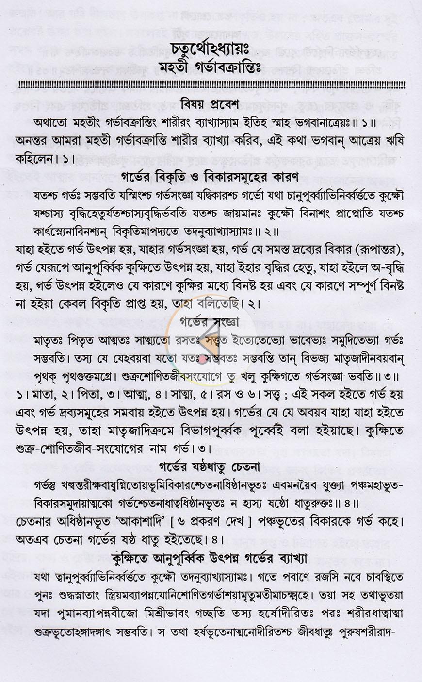 পাতা 10